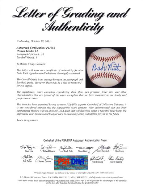 シードスターズ 